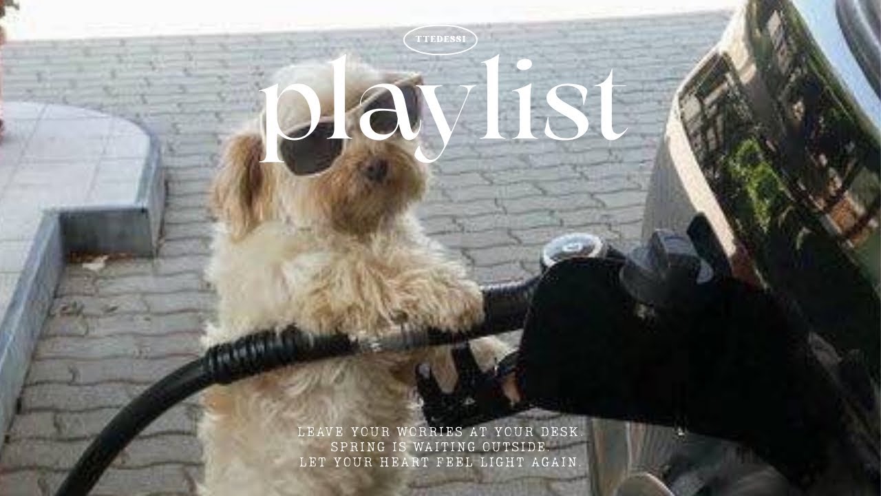 [playlist] Помогает по пути на работу. Вспомните во время дел. GROOVE · JAZZHOP | Кафе · Фокус