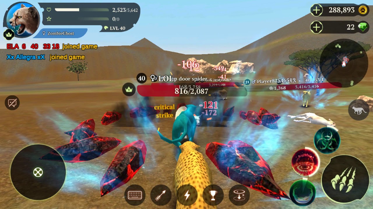 The Cheetah Online Simulator