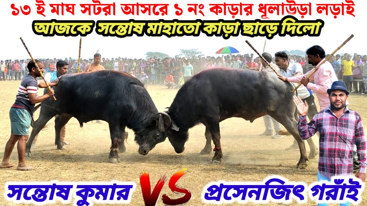 ১৩ ই মাঘ সটরা আসরে🌼১ নং কাড়ার ধূলাউড়া লড়াই🔥সন্তোষ কুমার বনাম প্রসেনজিৎ গরাঁই 