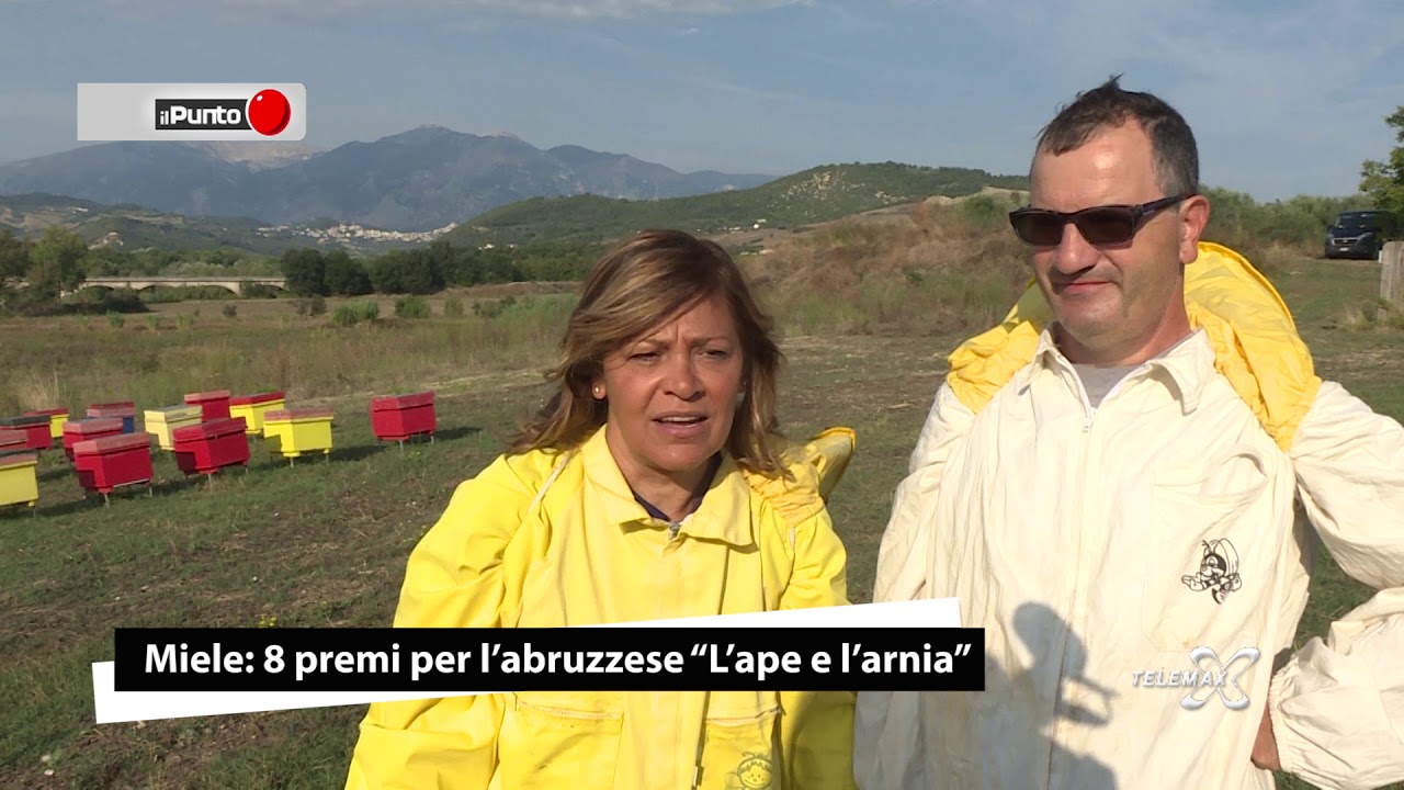 Miele, 8 premi per l'abruzzese L'ape e l'arnia