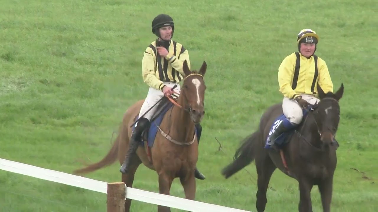 P2P - Ballindenisk - 30 Nov 2025 - R1 - D2 Ballytrasna Farm 4yo Maiden