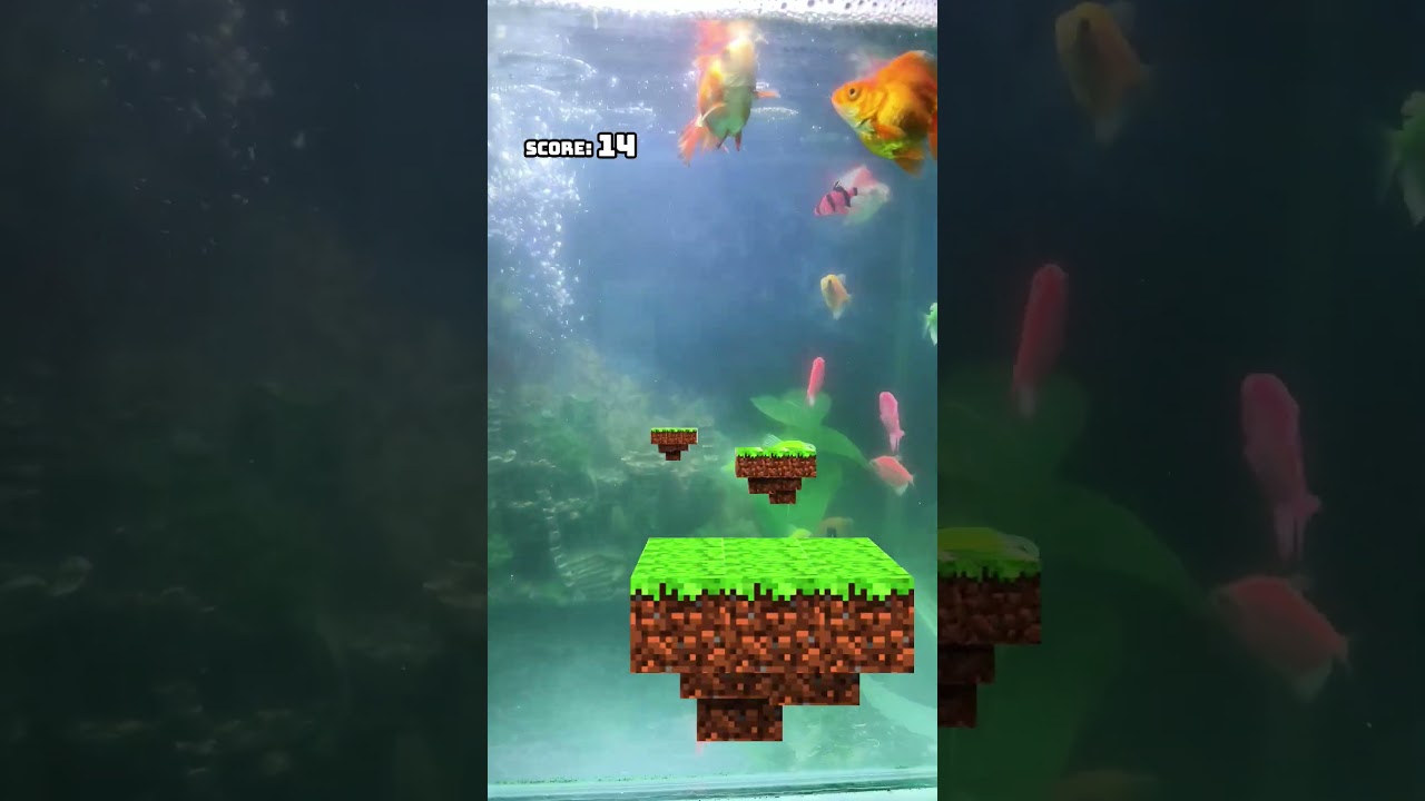 #duet #trend #funny #memes #viral #comedy #jokes #music #shorts #song #transition #fyp #alightmotion