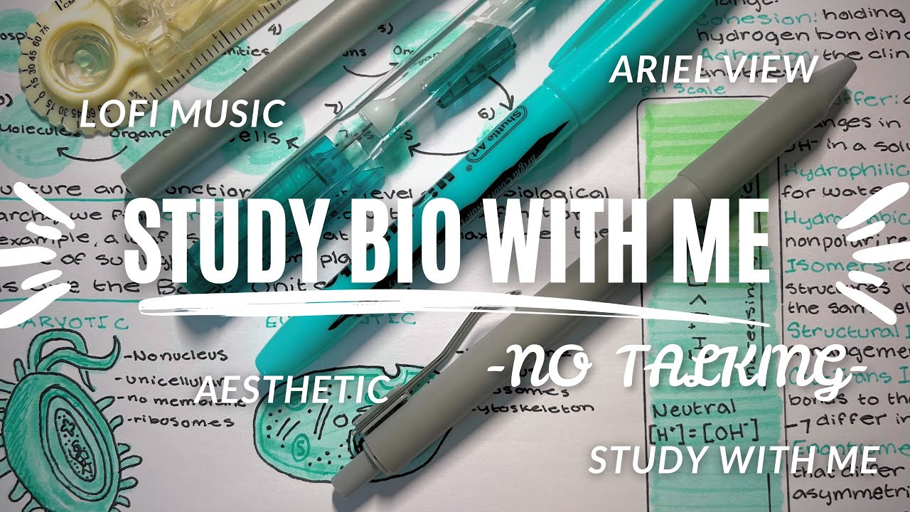 study with me for my biology exam // lofi music // no talking // 15 minute break // birdseye view