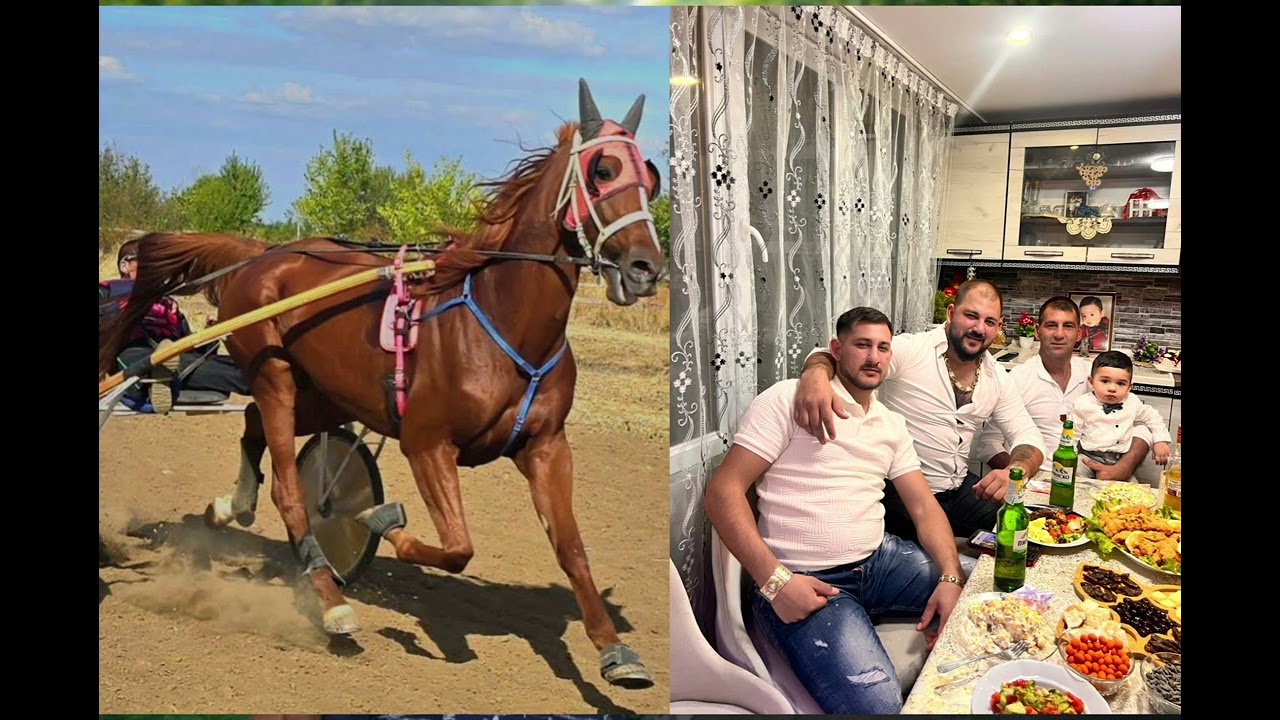 Pozdrav Ot Aleks Trot 2026