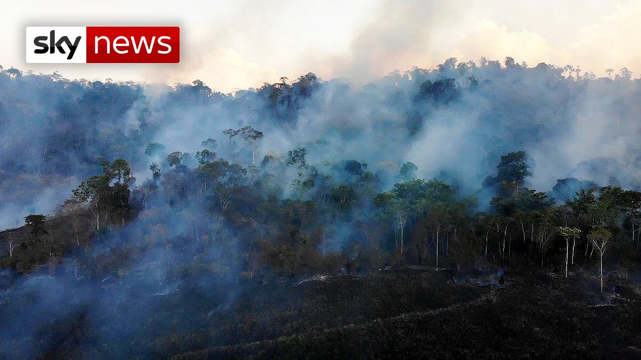 Amazon on fire: Flames rip through Brazil's rainforest