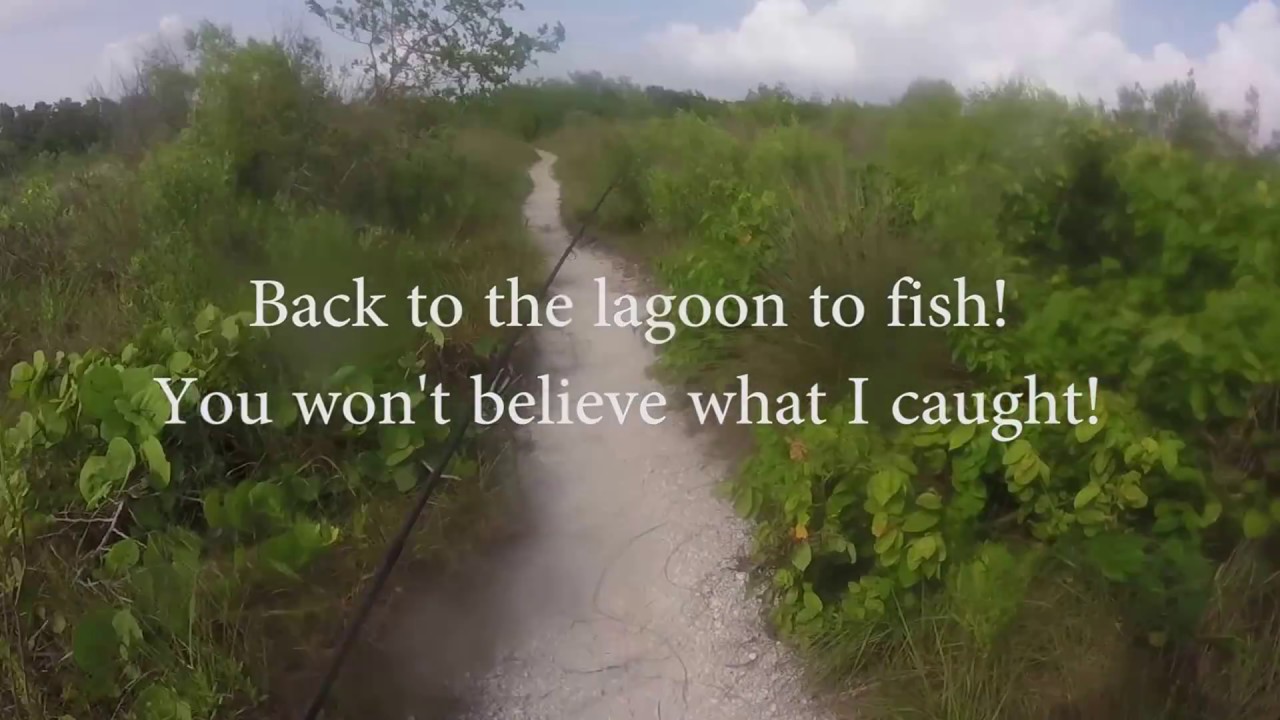 Tigertail Beach Marco Island | You Won't Believe What I Caught!