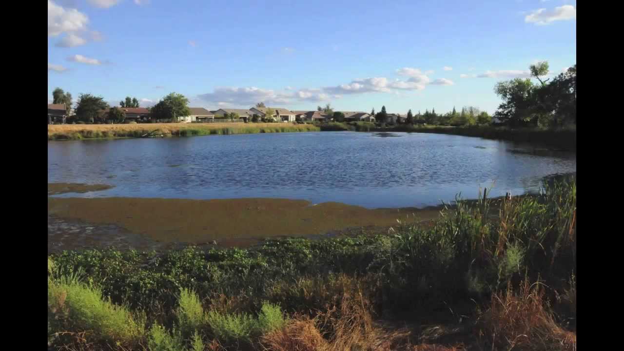 Del Webb's Sun City Lincoln Hills