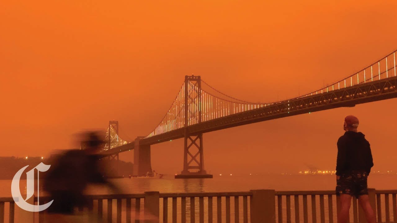 San Francisco Wakes Up to 