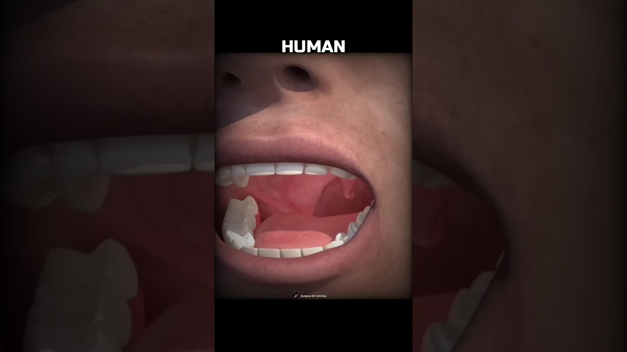 Animals, with the most teeth! 💀🤯 #Shorts #Animals #Biology #Science #Teeth