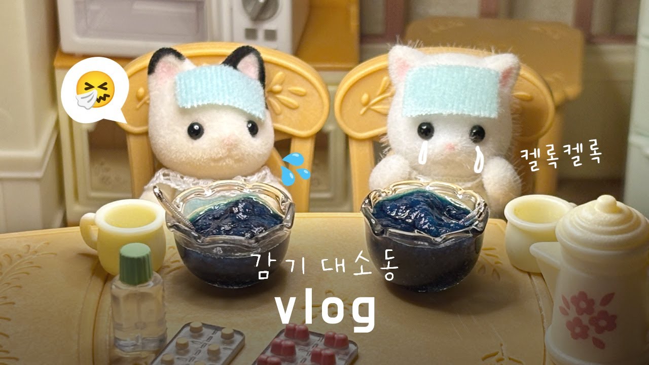 인형계 브이로그🤒 콜록콜록 지구별하우스 감기 대소동💦 | 실바니안 패밀리