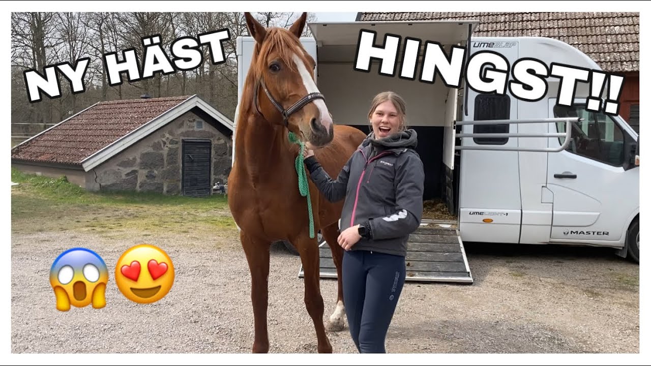HÄMTAR EN NY HÄST IGEN!!!!!! | STALLVLOGG