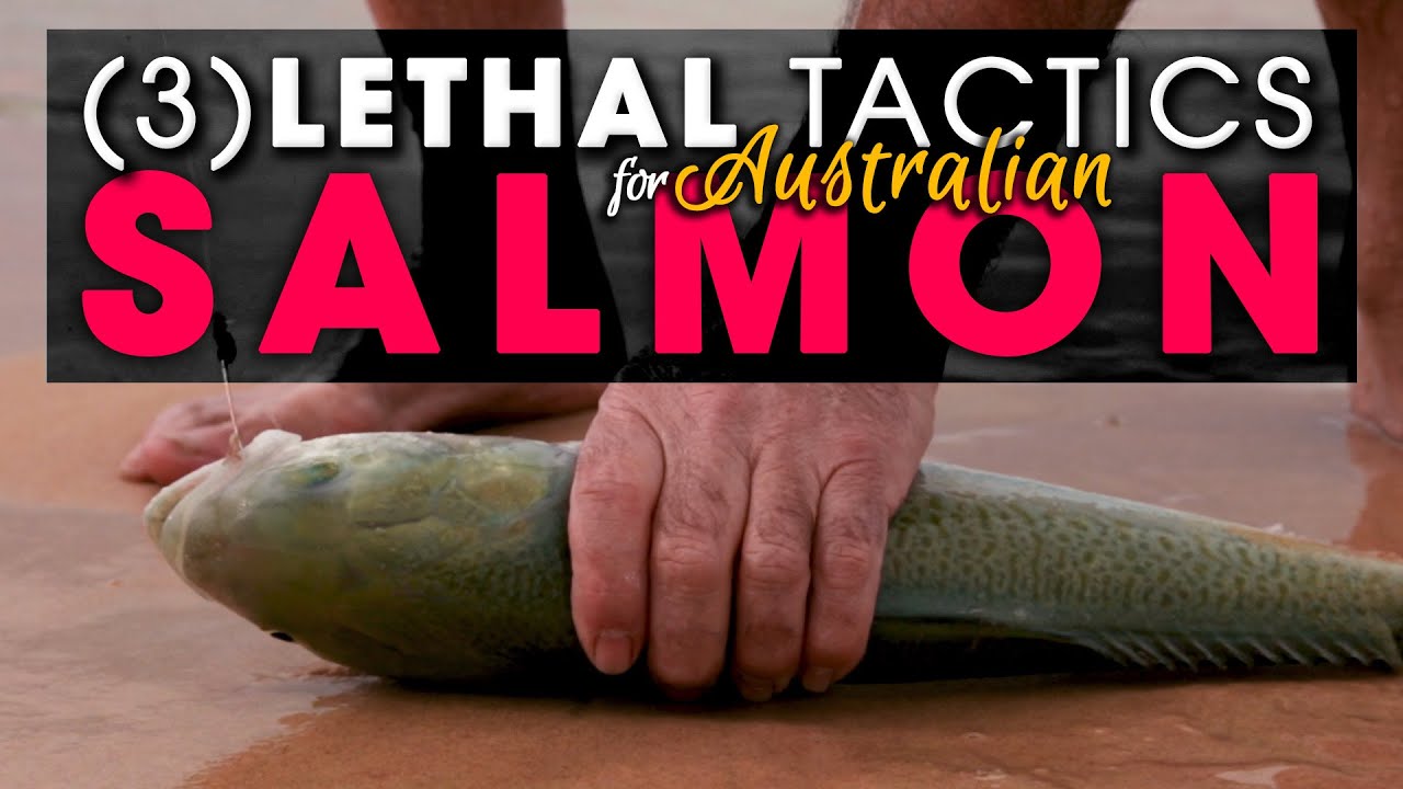( 3 ) LETHAL TACTICS Beach Fishing For Aussie Salmon!