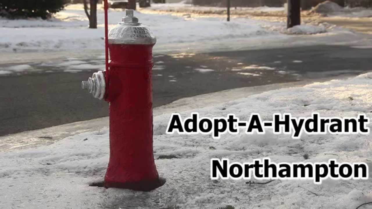 Adopt A Hydrant