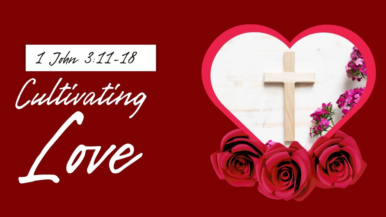 Cultivating Love (1 John 3:11-18)