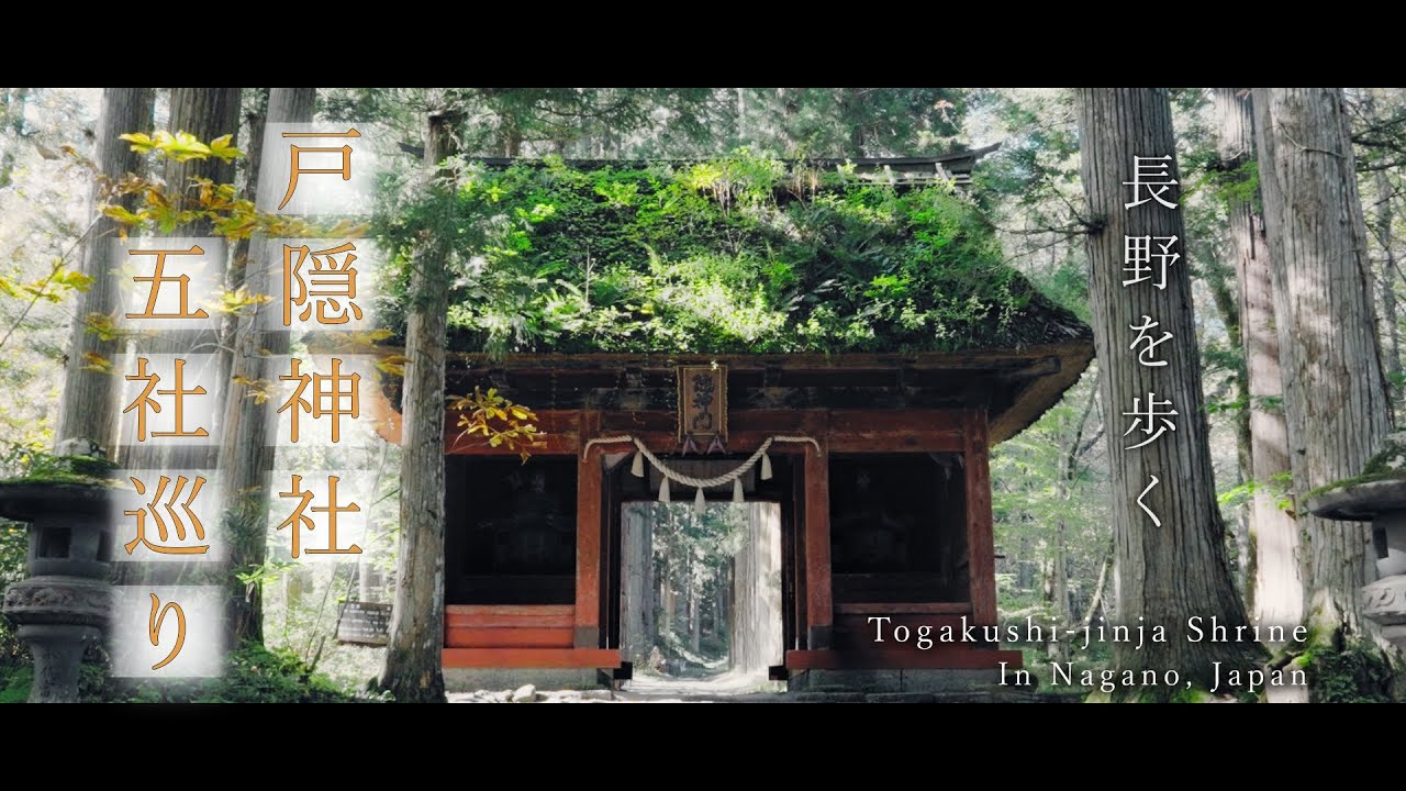 【神社巡り】戸隠神社五社巡りを徒歩で行う長野旅行 / Japan trip, Tour of the Five Shrines of Togakushi-jinja Shrine in Nagano