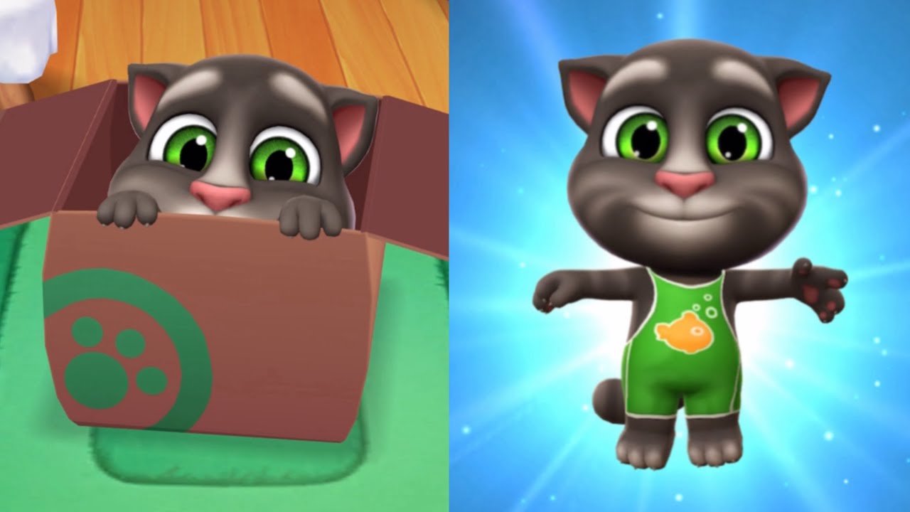 My Talking Tom Level 1 Vs Happy Birthday Level 80 | My Talking Tom 2