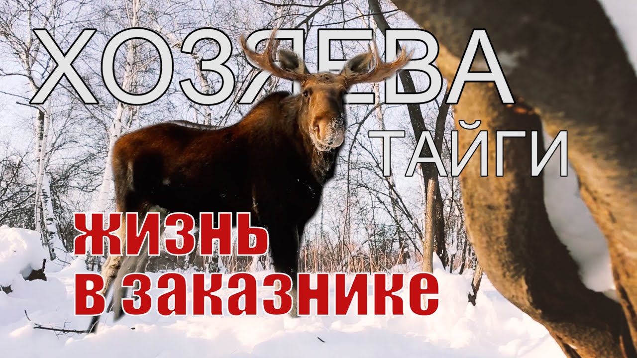 XОЗЯЕВА ТАЙГИ. Что такое 