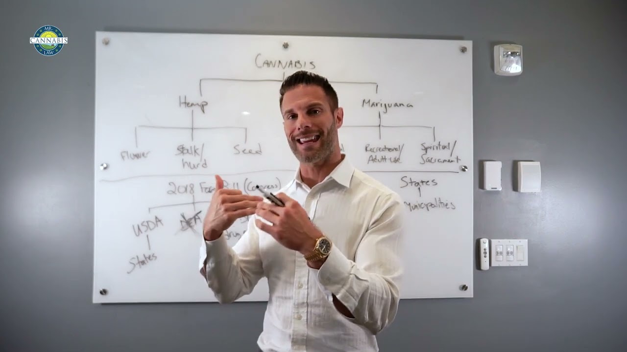 Mr. Cannabis Law Class 2: Marijuana vs. Hemp