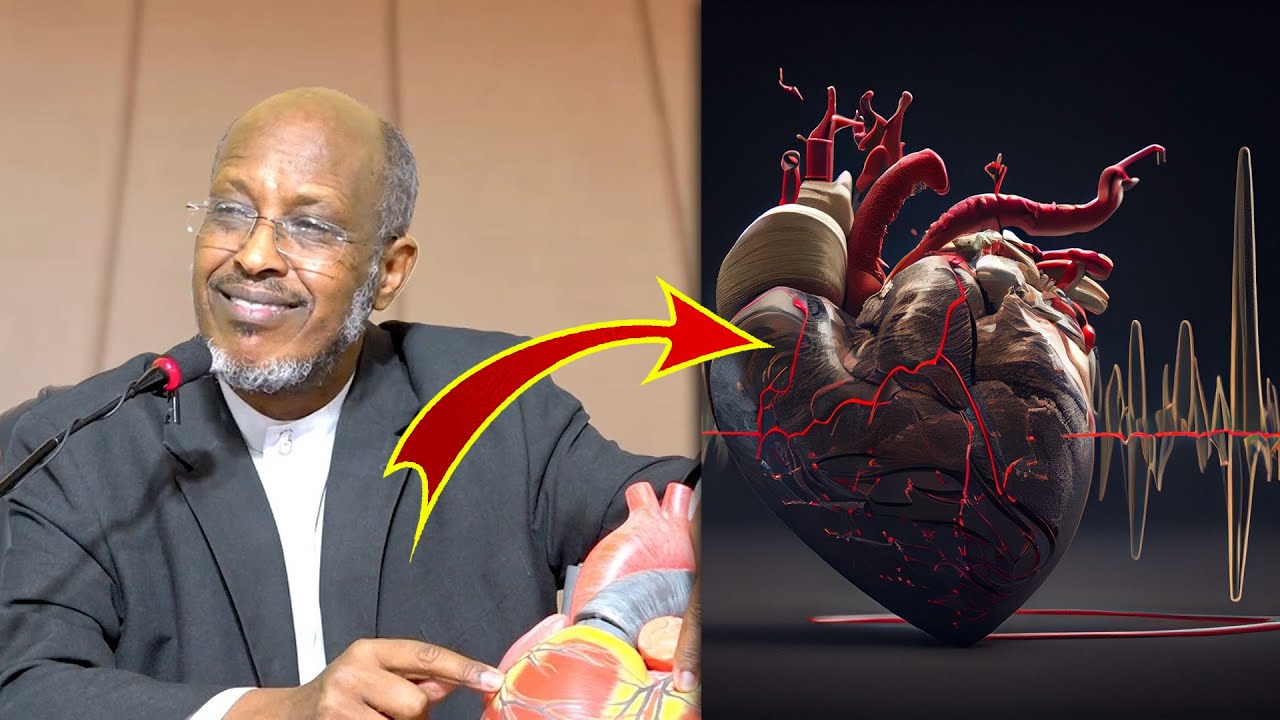 Dr. Maxamed Xasan oo kawaramaaya xanuunada wadnaha ku dhaca iyo waxyaabaha keena