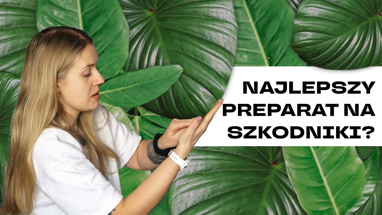 🐛 Antidotum na szkodniki? Wasze polecenie!