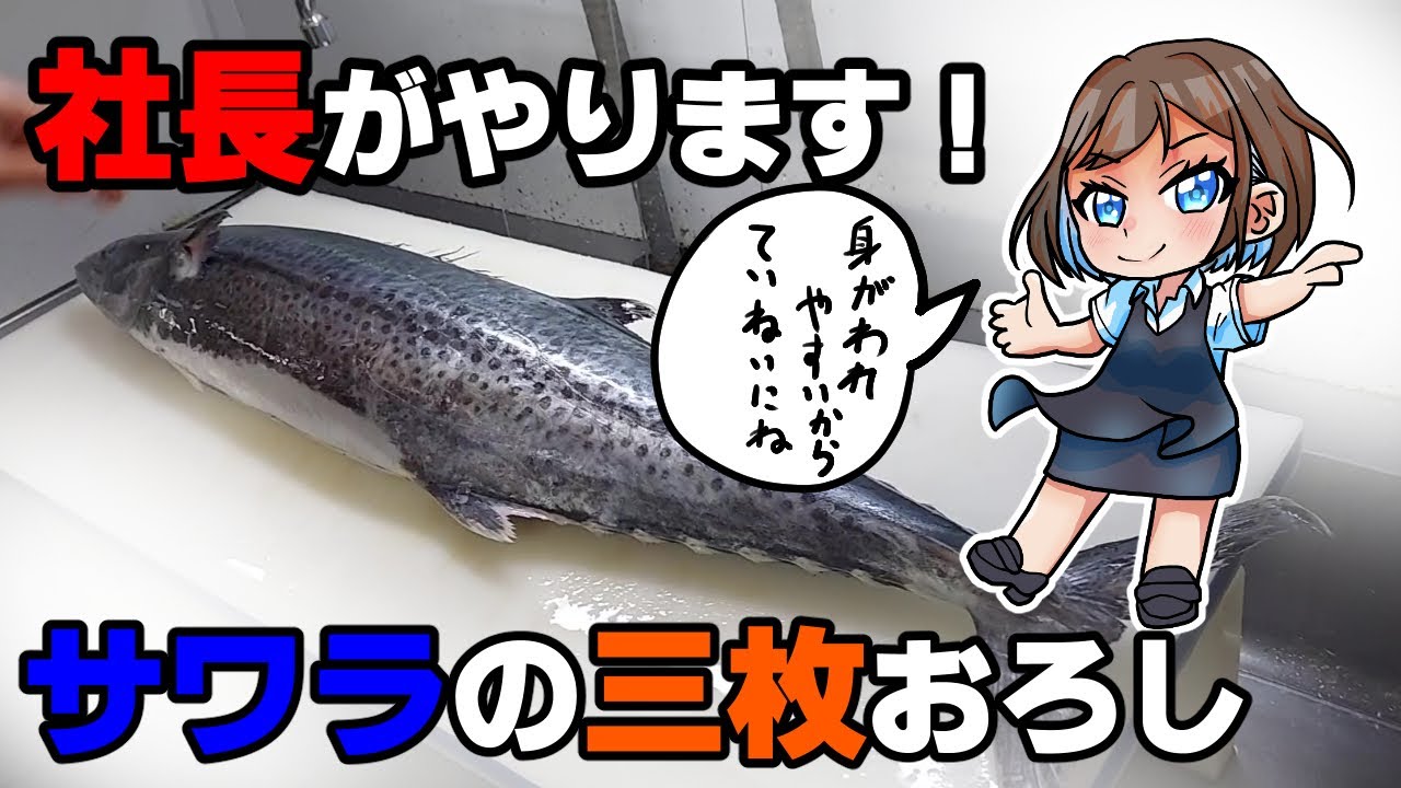 鰆三枚卸し 社長捌くよ