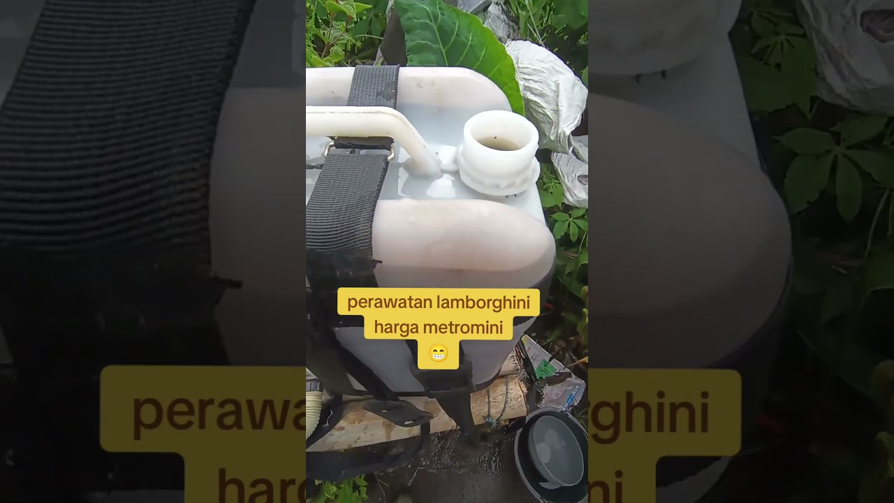 Kocoran ke dua tanaman cabe #pertanian #pertaniancabe #petani #petanicabesukses #petanicabaisukses
