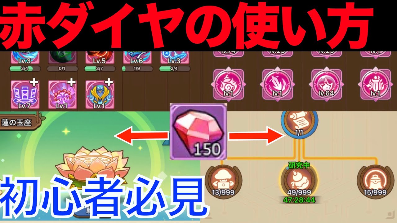 【キノコ伝説】初心者必見、強くなれる赤ダイヤの使い方【絶対に助ける】