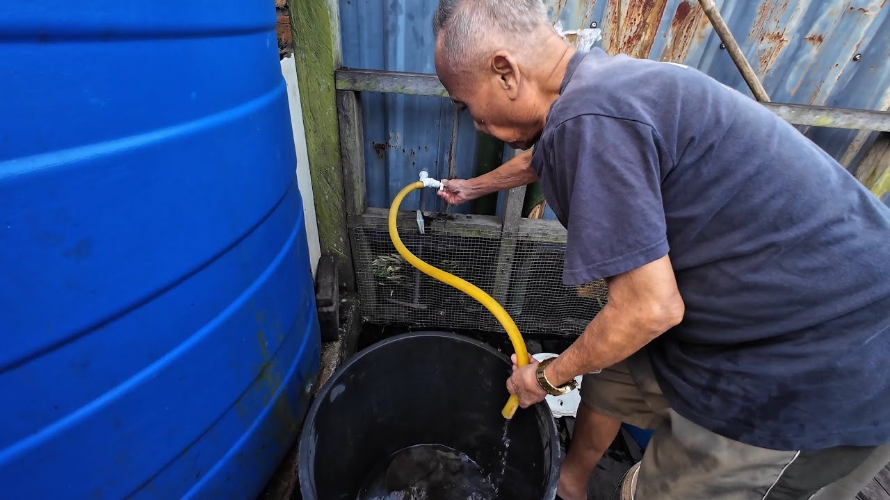TUKAR TONG BESAR BELA LABI-LABI // MAKAN MALAM NASI HITAM DAN LAUK KAMPUNG // 