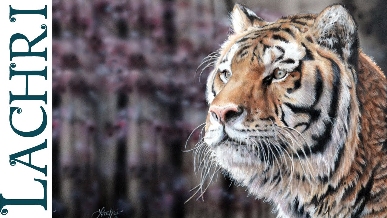 Strathmore Colored Pencil paper review + tiger painting w/ Lachri