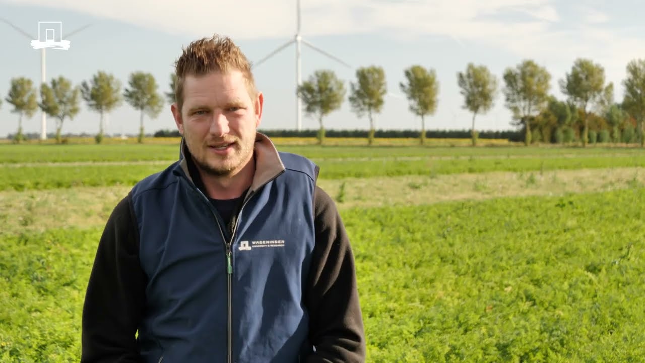 Boerderij van de Toekomst - Flevoland: Een kijkje in het peenseizoen van 2025