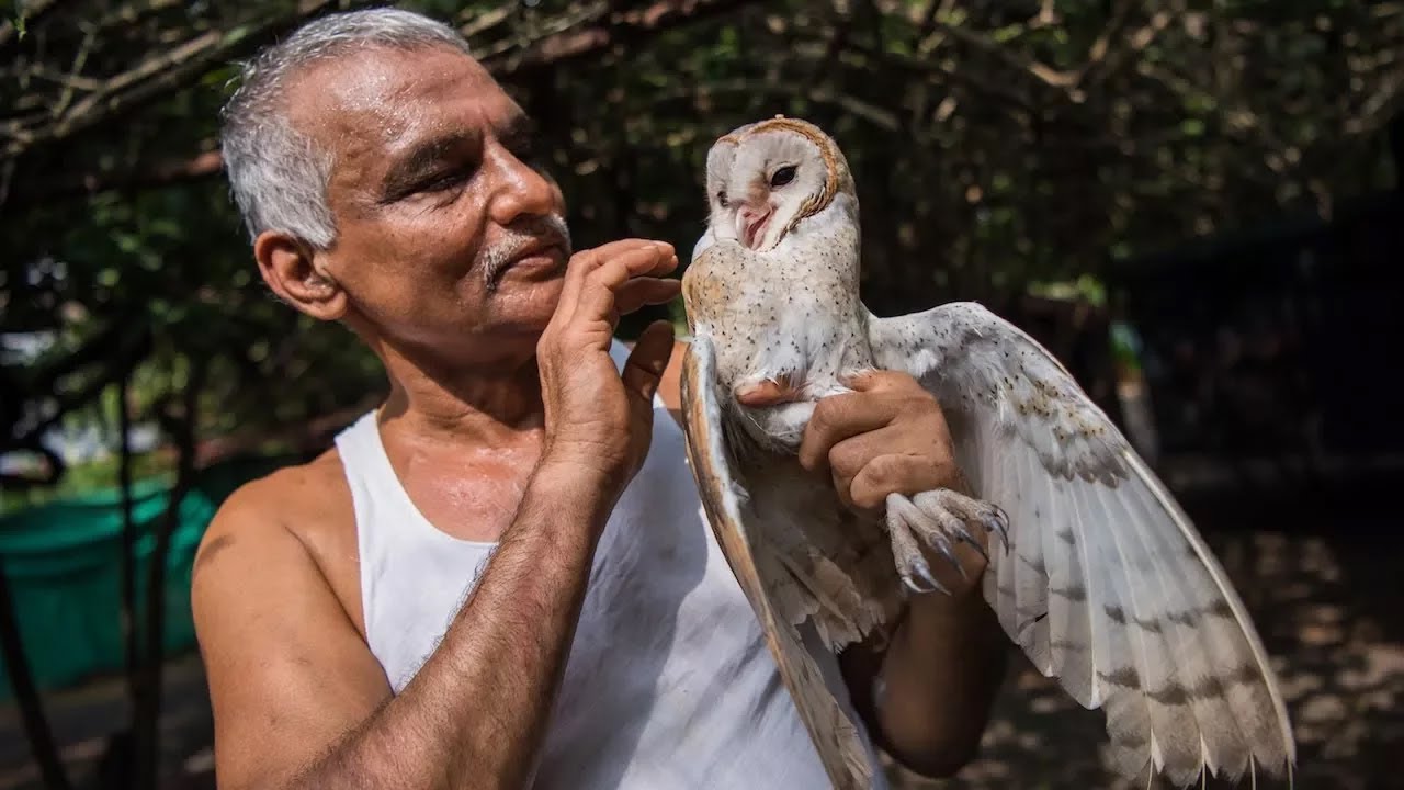 Indian Doctors Built An Ark For Wild Animals | WILDEST ANIMAL RESCUES