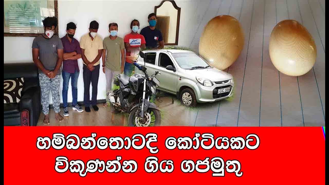 කෝටියකට විකුනන්නගිය ගජමුතු / Lanka Live