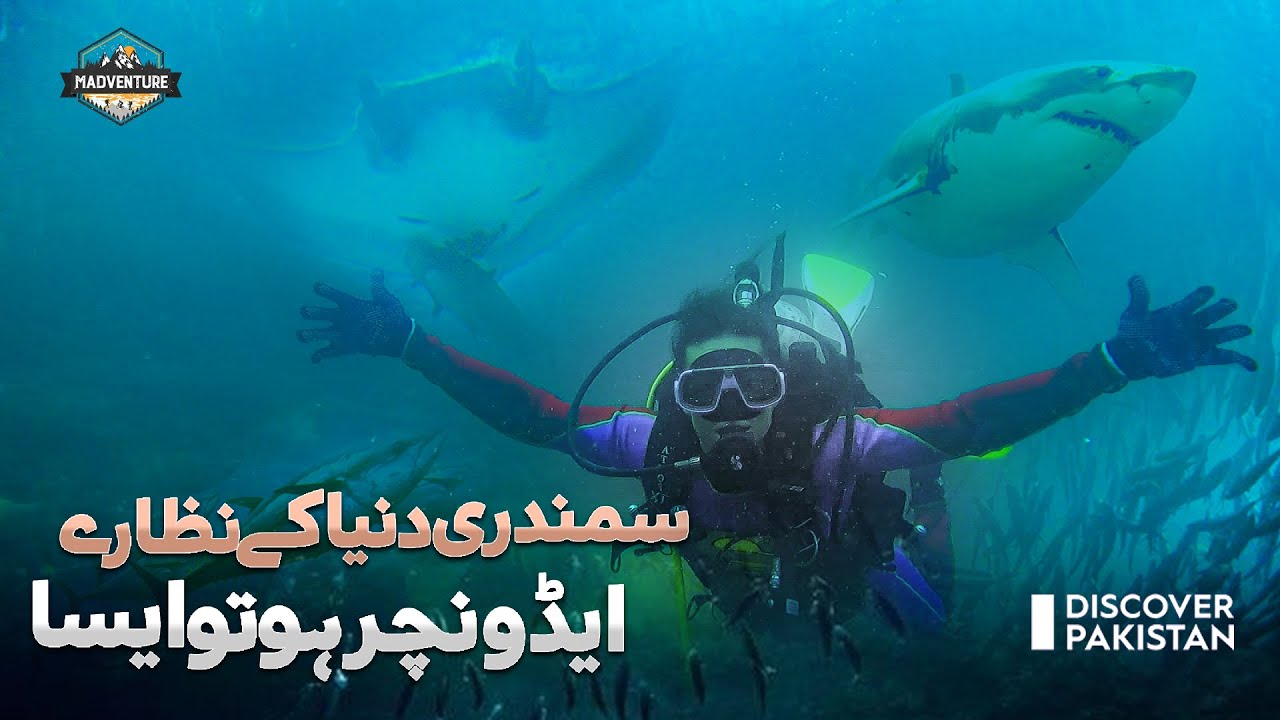 Scuba Diving at Churna Island Karachi  | Thrilling Experience | Madventure