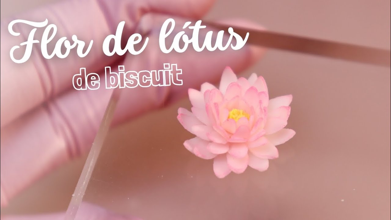 Como fazer Flor de Lótus de biscuit 