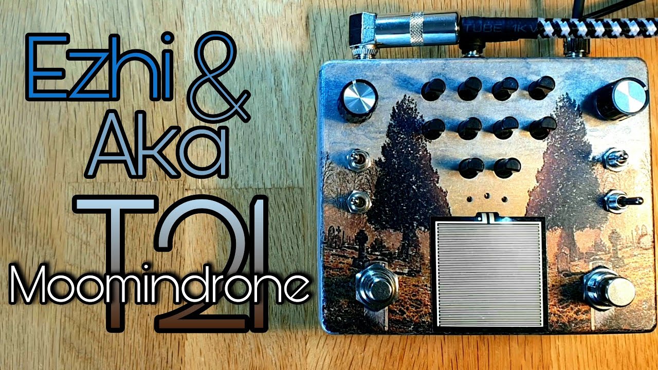 Ezhi & Aka Moomindrone T21