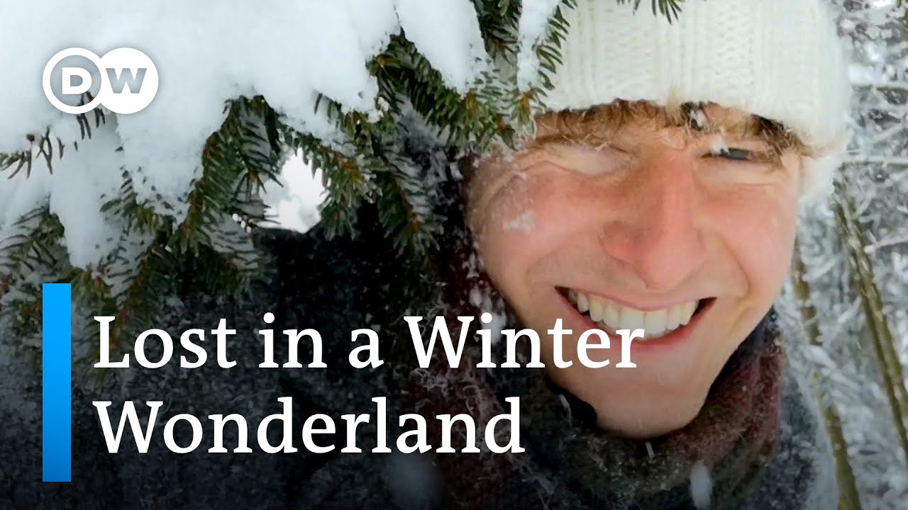 Getting Lost in the Snowy German Harz Mountains | There's Snow Place Like the Harz Mountains