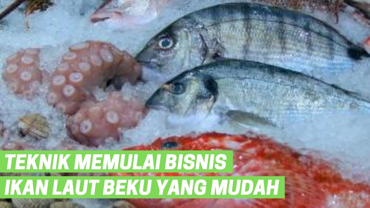 5 Teknik Memulai Bisnis Ikan Laut Beku Yang Mudah