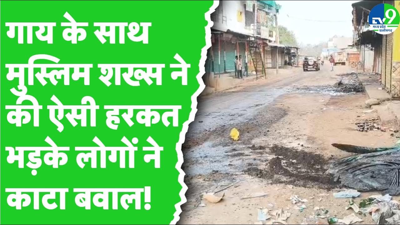 Betul News: गाय के साथ दरिंदगी का वीडियो देखकर भड़के लोग, कई दुकानों को आग में जलाया!