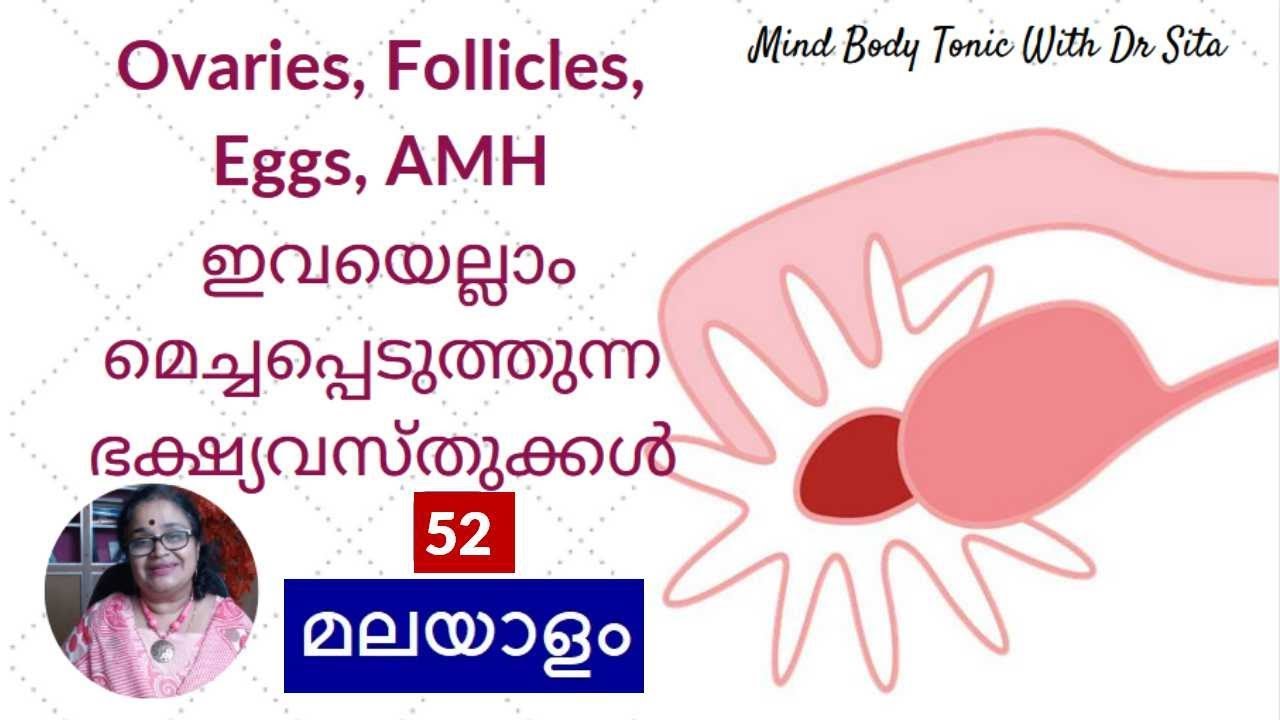 PREGNANCY | AMH, Eggs, Follicles, Ovaries  മെച്ചപ്പെടുത്താന്‍ 52 SuperFoods|Mind Body Tonic