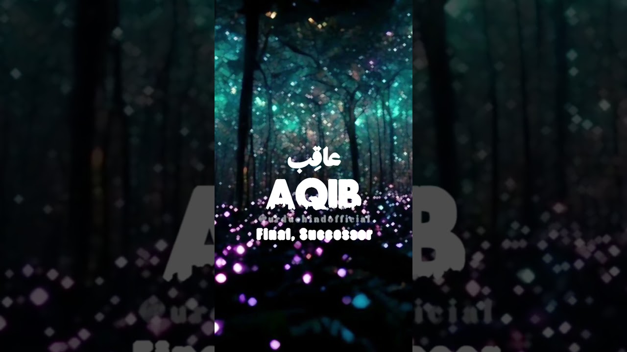 🌹Aqib🌹 | Name Meaning Status ||#urduehindofficial  #ytshorts #shorts #aqib