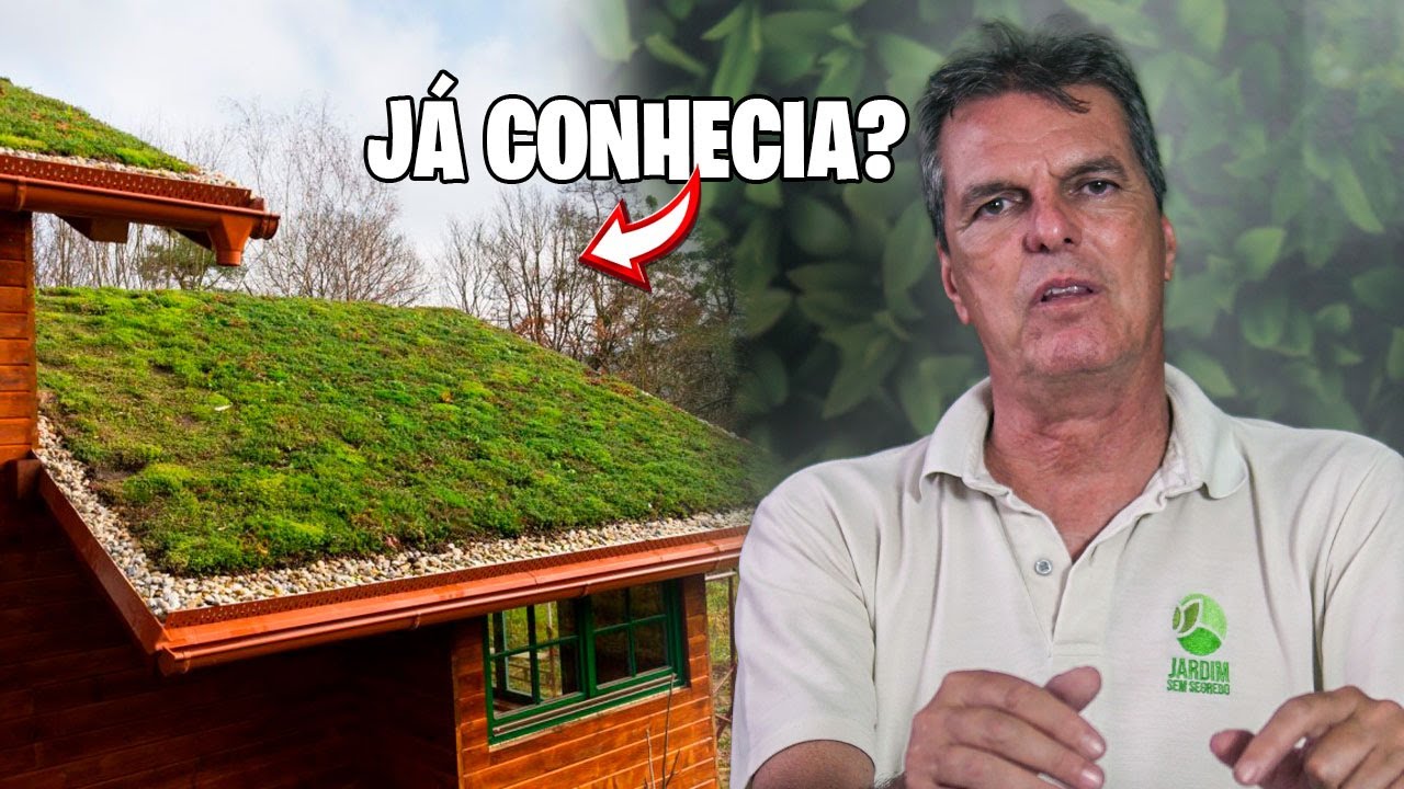 DICAS e TUDO SOBRE o PLANTIO de TELHADO VERDE !