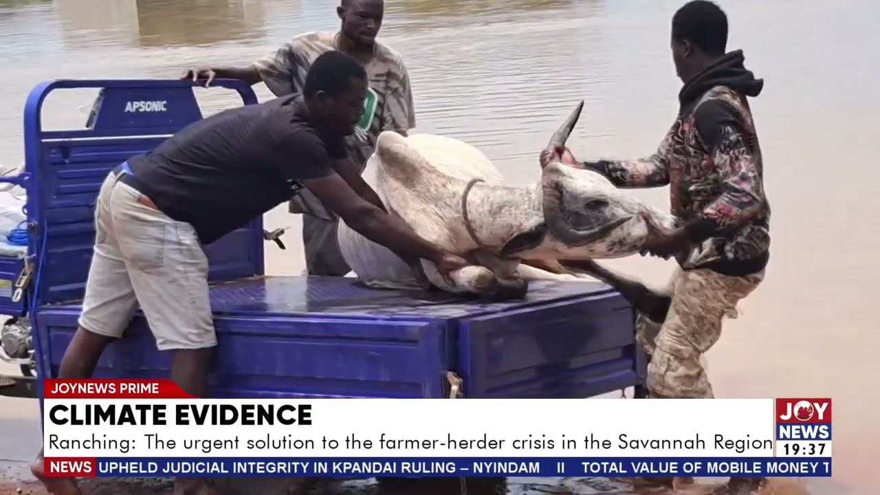 Climate evidence: Ranching; The urgent solution to the farmer-herder crisis in the Savannah Region.