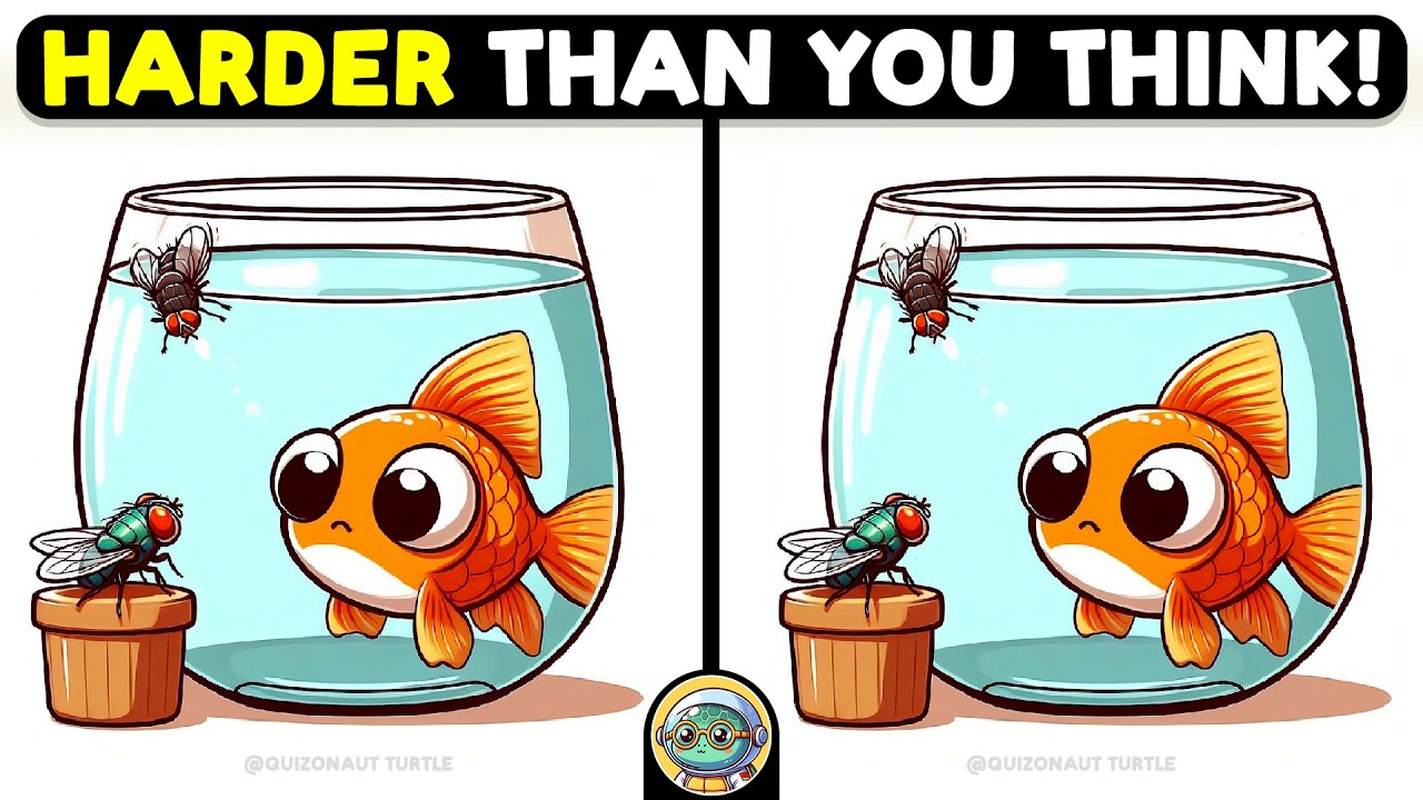 🐢🧩 Spot 3 Differences | Test Your Sharp Eyes 🧩🐢 | Quizonaut Turtle
