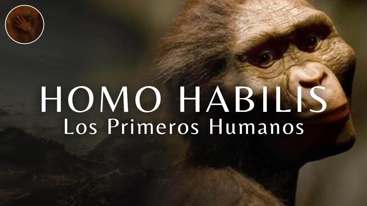 Homo Habilis: Los Primeros 'Humanos' | Documental Prehist&oacute;rico