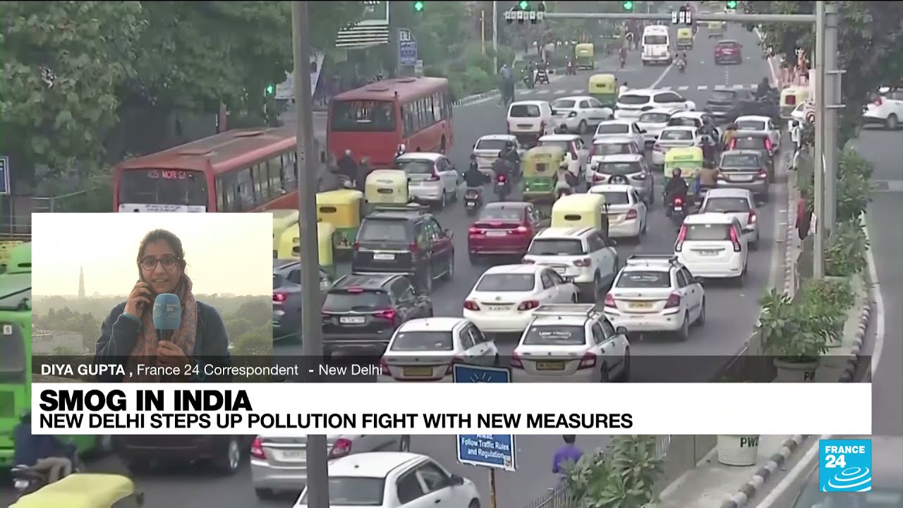 India steps up pollution fight in capital with power plant suspensions &bull; FRANCE 24 English