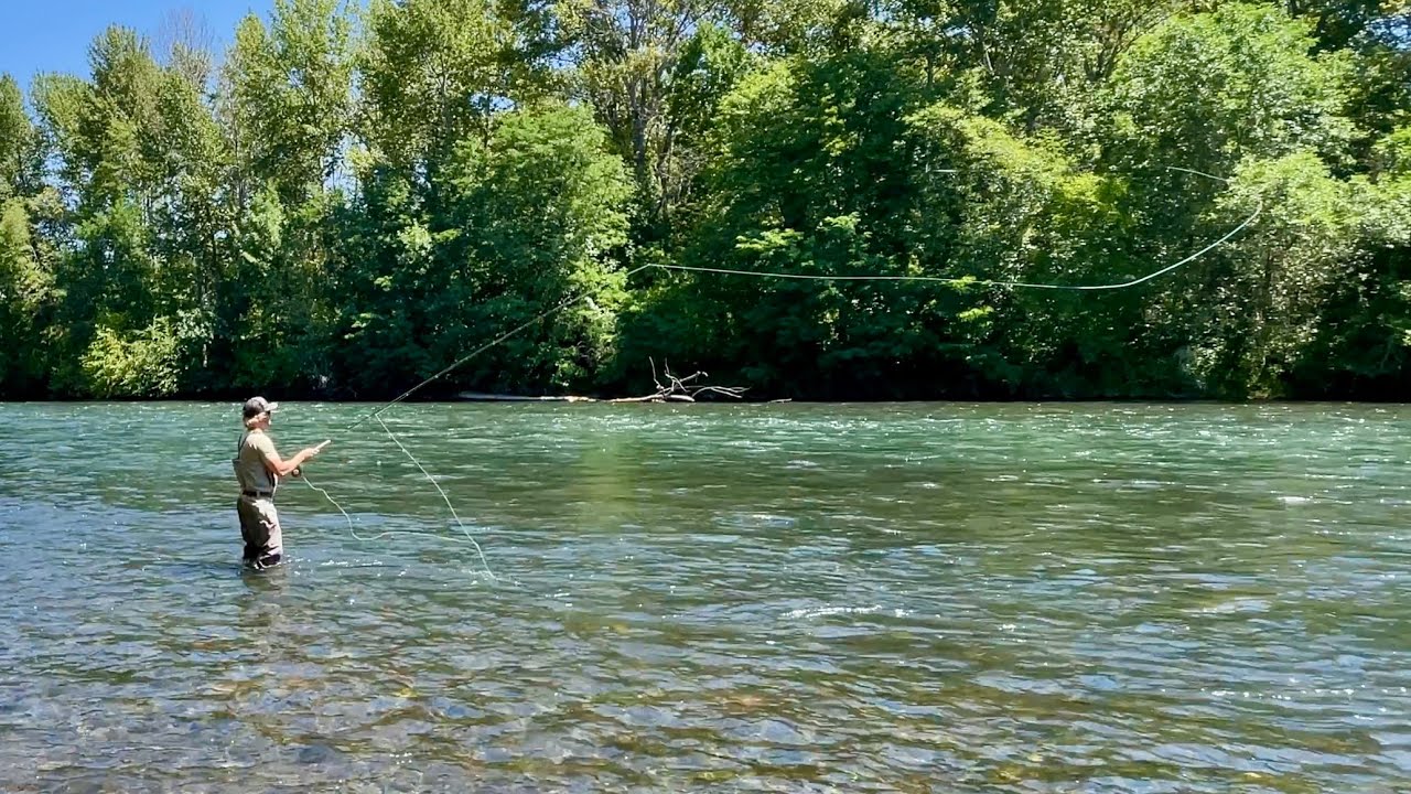 Sage Spey R8 7126/7130/7136 Review