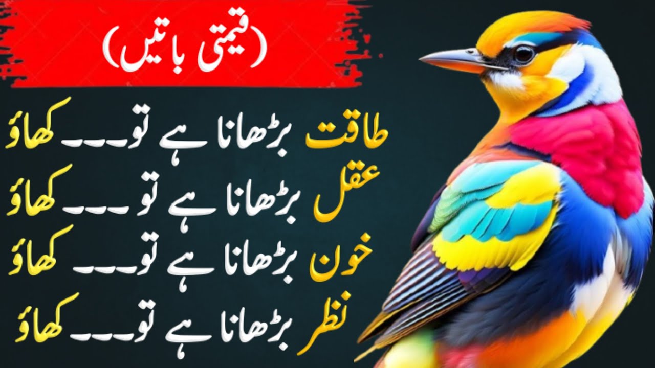 2025 Best Urdu Aqwal Zareeen/Best Urdu Quotes Collection