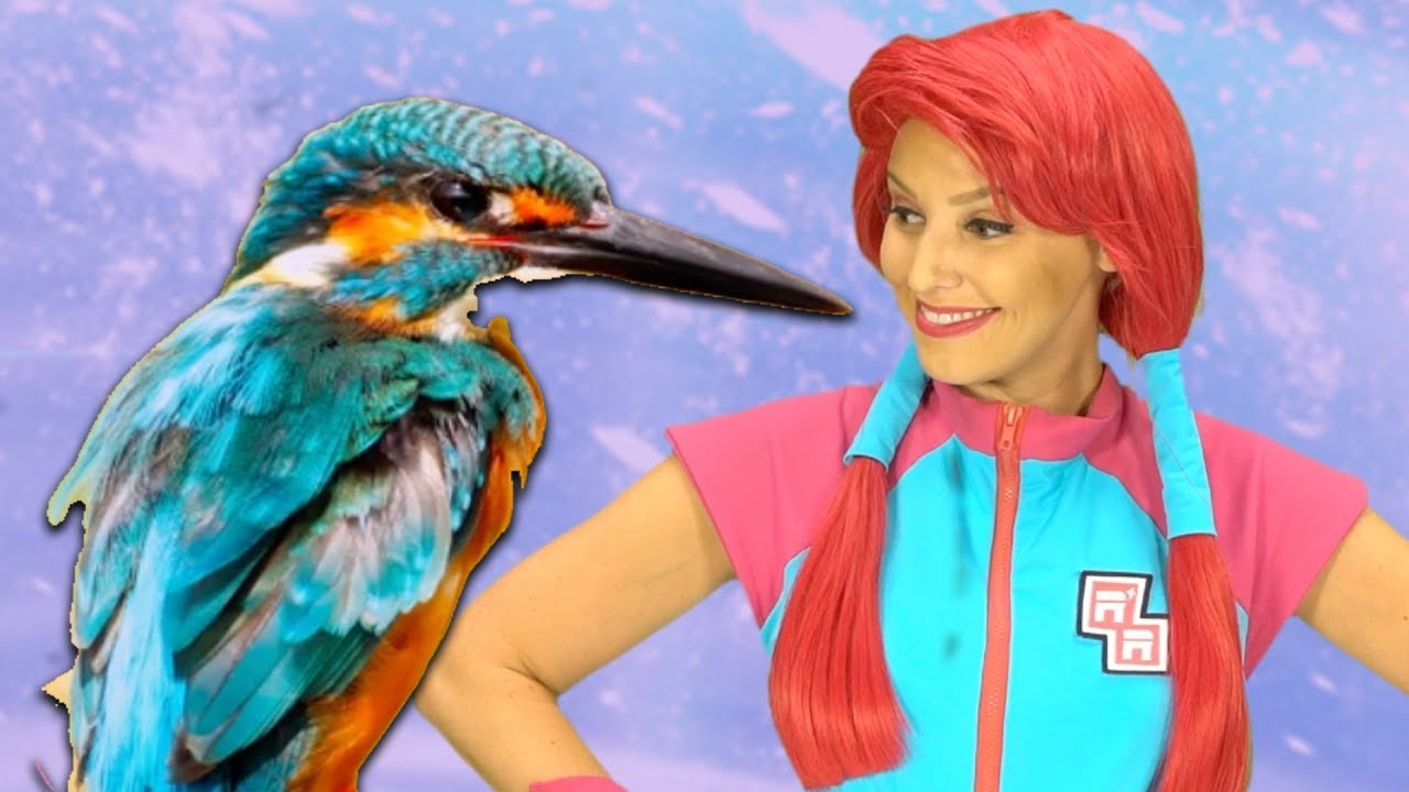 Ruby Learning ANIMALS! - Ruby Roo's Magic Wheel | Kids Videos! Animals For Kids | Sandaroo