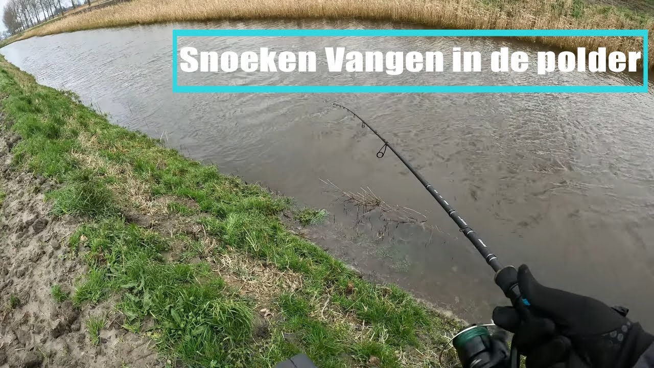 Snoek Vissen Met softbaits In De Polder