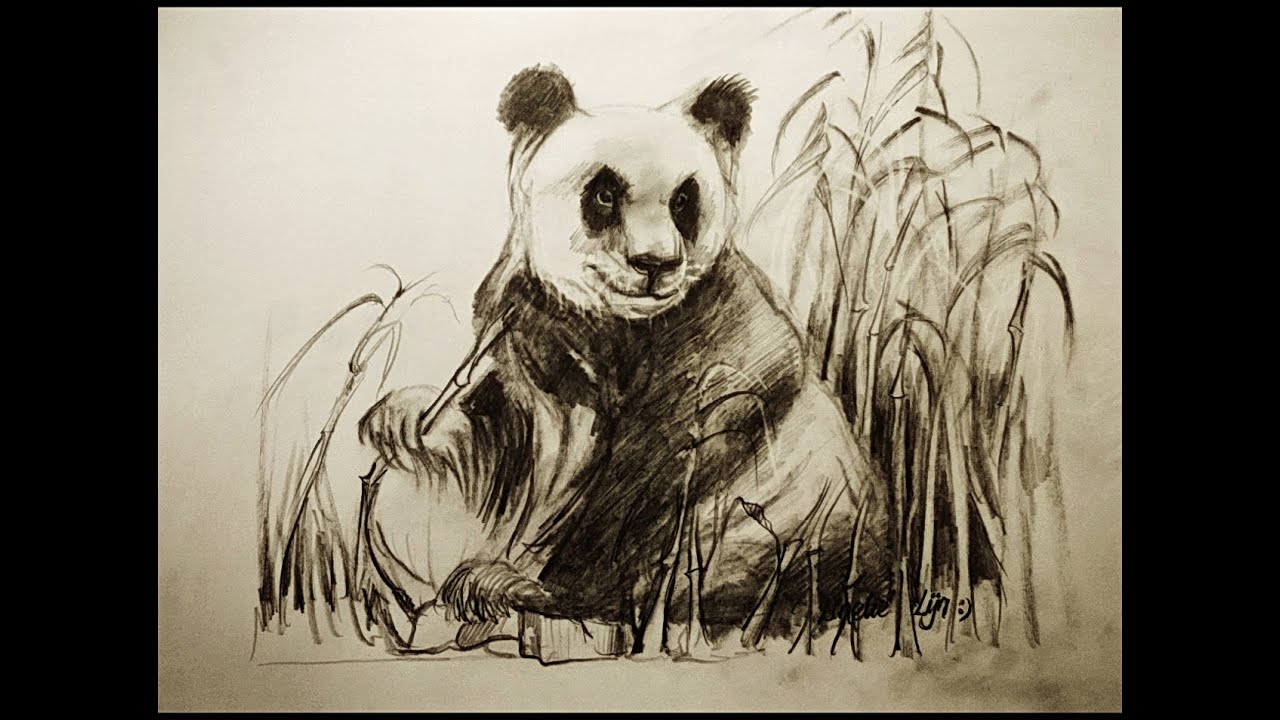 Hoe teken je een Panda / dieren tekenen / #25